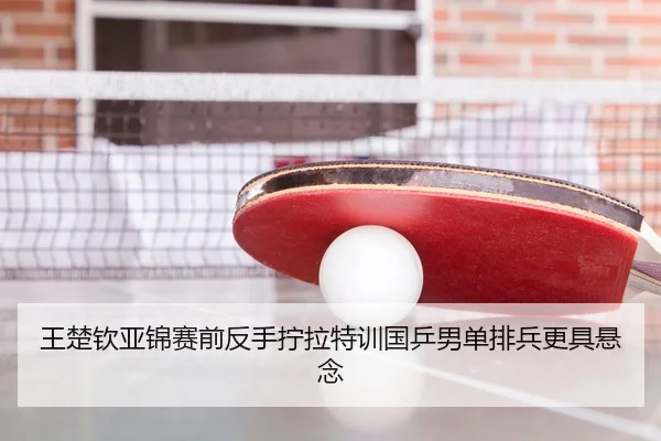 王楚钦亚锦赛前反手拧拉特训国乒男单排兵更具悬念（HUOBOSPORTS）
